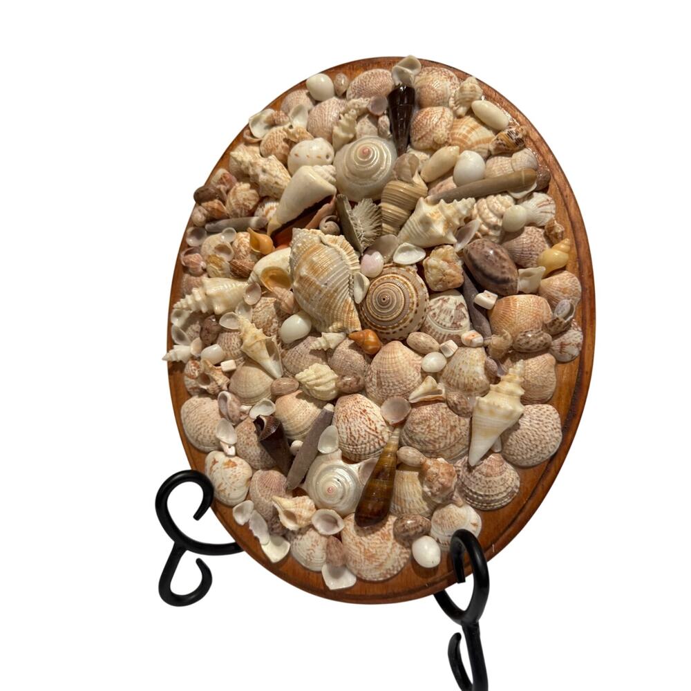 Vintage Shell Art Oval 10x8 Wall Hanging
